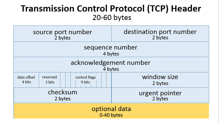 TCP header